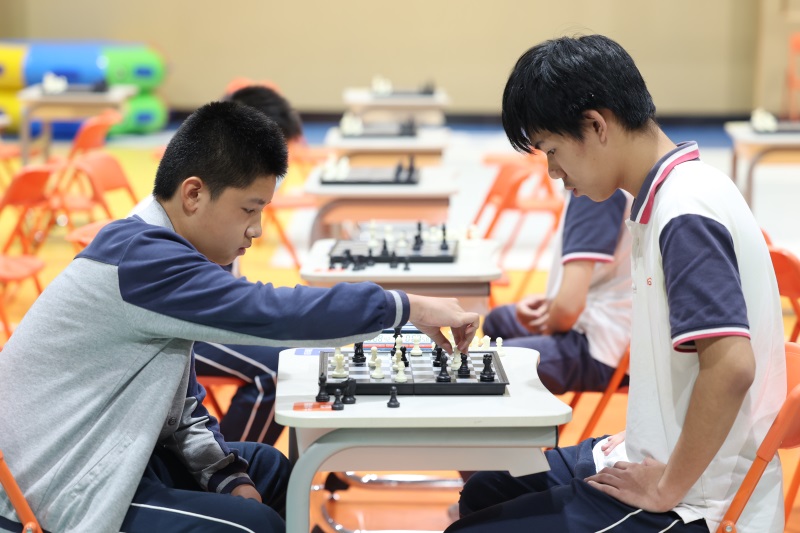 国际象棋11.jpg